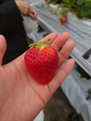 たにい農園に投稿された画像（2026/2/27）