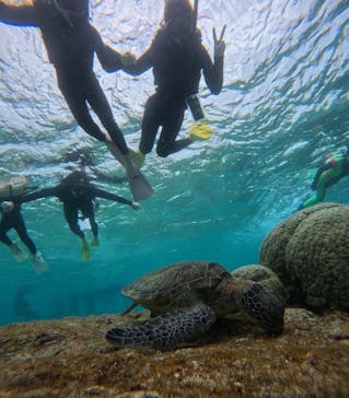 マーレ宮古島に投稿された画像（2026/2/27）