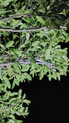 元気玉に投稿された画像（2026/2/27）