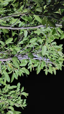 元気玉に投稿された画像（2026/2/27）