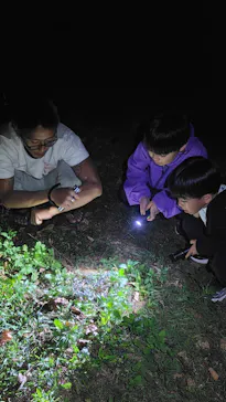 元気玉に投稿された画像（2026/2/27）