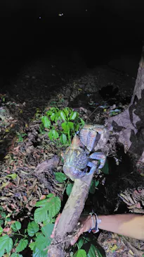 元気玉に投稿された画像（2026/2/27）