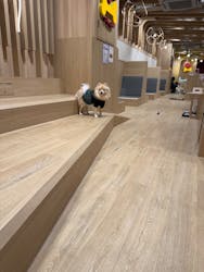 いぬカフェRio 浅草店に投稿された画像（2026/2/27）