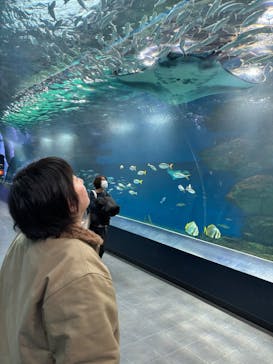 マクセル アクアパーク品川に投稿された画像（2026/2/27）