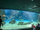 サンシャイン水族館に投稿された画像（2026/2/27）