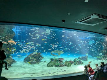 サンシャイン水族館に投稿された画像（2026/2/27）