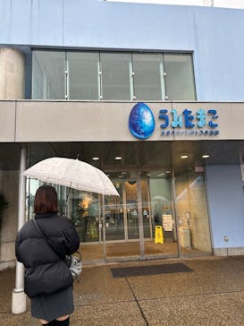 大分マリーンパレス水族館 「うみたまご」に投稿された画像（2026/2/27）