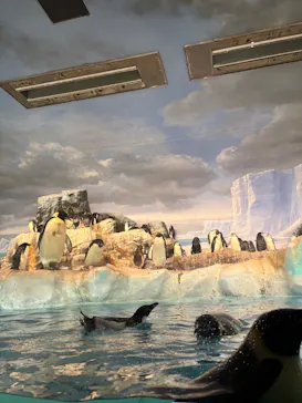 名古屋港水族館に投稿された画像（2026/2/27）