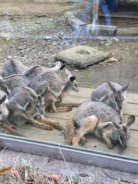 多摩動物公園に投稿された画像（2026/2/27）