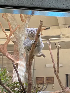 多摩動物公園に投稿された画像（2026/2/27）