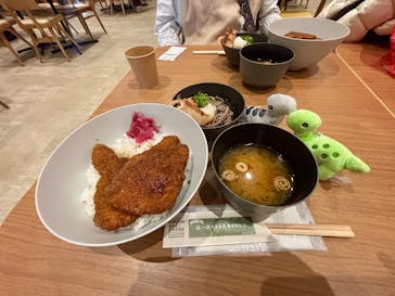 福井県立恐竜博物館に投稿された画像（2026/2/27）