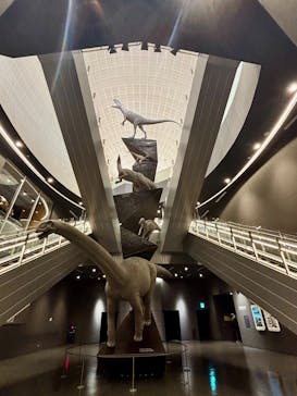 福井県立恐竜博物館に投稿された画像（2026/2/27）