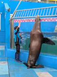ゼロ距離水族館 伊勢シーパラダイスに投稿された画像（2026/2/27）