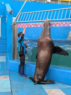 ゼロ距離水族館 伊勢シーパラダイスに投稿された画像（2026/2/27）