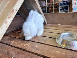 那須どうぶつ王国に投稿された画像（2026/2/27）