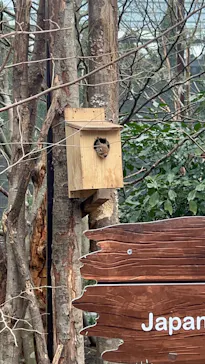 那須どうぶつ王国に投稿された画像（2026/2/27）