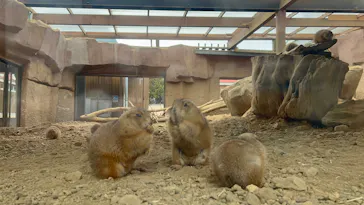 那須どうぶつ王国に投稿された画像（2026/2/27）