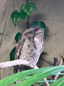 那須どうぶつ王国に投稿された画像（2026/2/27）