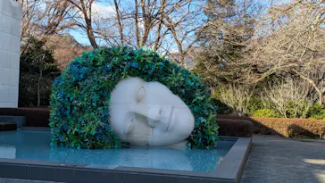 彫刻の森美術館に投稿された画像（2026/2/27）