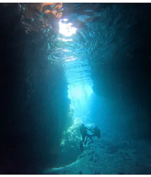 武藤潜水に投稿された画像（2026/2/27）