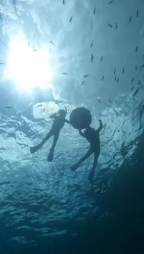 武藤潜水に投稿された画像（2026/2/27）