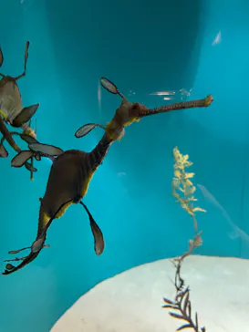 葛西臨海水族園に投稿された画像（2026/2/27）