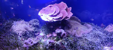 名古屋港水族館に投稿された画像（2026/2/27）