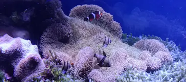 名古屋港水族館に投稿された画像（2026/2/27）