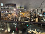 福井県立恐竜博物館に投稿された画像（2026/2/27）