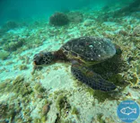 OCEAN'S SEVEN（オーシャンズセブン）に投稿された画像（2026/2/27）