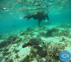 OCEAN'S SEVEN（オーシャンズセブン）に投稿された画像（2026/2/27）