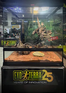 レプタイルズフィーバー 2026 Winter に投稿された画像（2026/2/27）