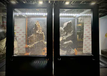 レプタイルズフィーバー 2026 Winter に投稿された画像（2026/2/27）