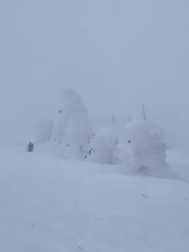 蔵王ロープウェイに投稿された画像（2026/2/27）