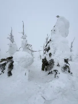 蔵王ロープウェイに投稿された画像（2026/2/27）