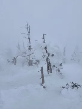 蔵王ロープウェイに投稿された画像（2026/2/27）