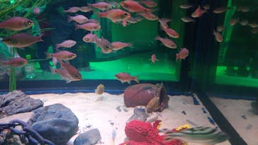 レゴランドⓇ・ジャパン・リゾートに投稿された画像（2026/2/27）