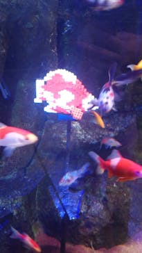 レゴランドⓇ・ジャパン・リゾートに投稿された画像（2026/2/27）