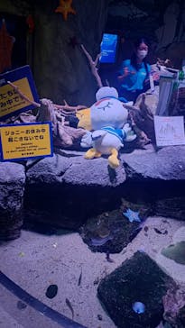 レゴランドⓇ・ジャパン・リゾートに投稿された画像（2026/2/27）