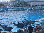 名古屋港水族館に投稿された画像（2026/2/28）