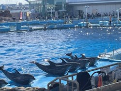 名古屋港水族館に投稿された画像（2026/2/27）