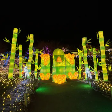 伊豆高原グランイルミに投稿された画像（2026/2/28）