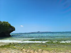 セルリアンブルーに投稿された画像（2026/2/28）