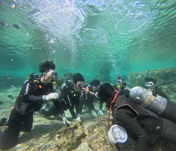 武藤潜水に投稿された画像（2026/2/28）