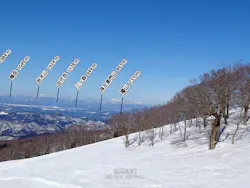 阿仁スキー場に投稿された画像（2026/2/28）