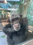 伊豆シャボテン動物公園に投稿された画像（2026/2/28）