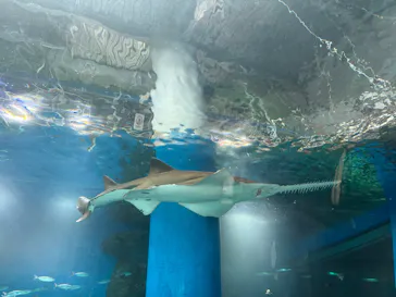 マクセル アクアパーク品川に投稿された画像（2026/2/28）