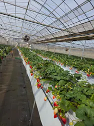 保谷農園に投稿された画像（2026/2/28）