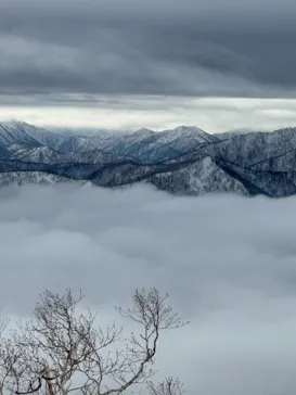 星野リゾート　トマムスキー場に投稿された画像（2026/2/28）