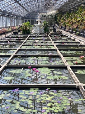 熱川バナナワニ園に投稿された画像（2026/2/28）